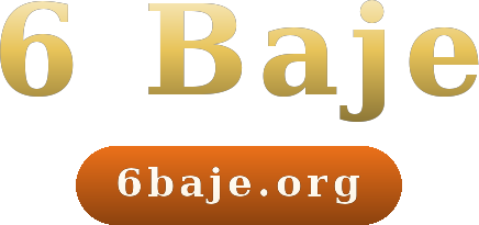 6 Baje logo